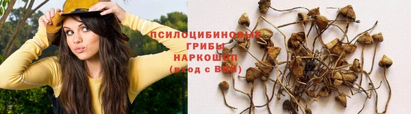 мефедрон мука Богданович