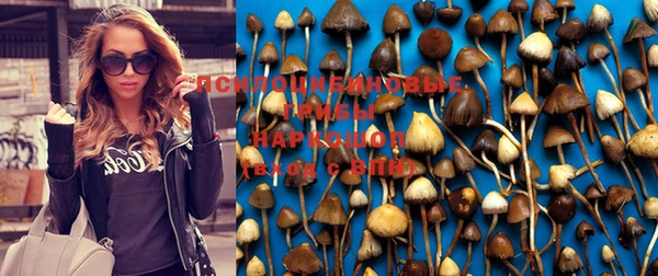 мефедрон мука Богданович