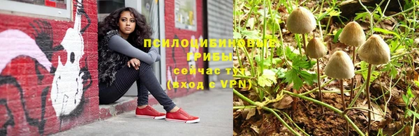 СК Богородск