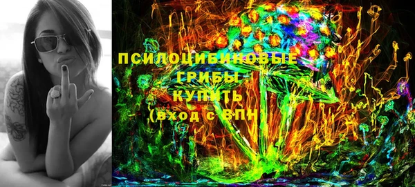 СК Богородск