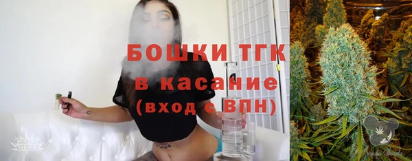 СК Богородск